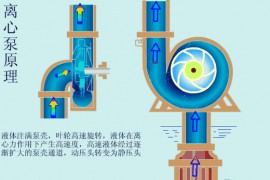 各种泵的工作原理动图大全，认识三种你就是高手