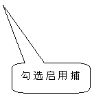 6.绘图工具与图层线型_中望CAD2010教程（图文教程）,圆角矩形标注: 勾选启用捕捉,教程,线型,绘图,CAD2010,第4张