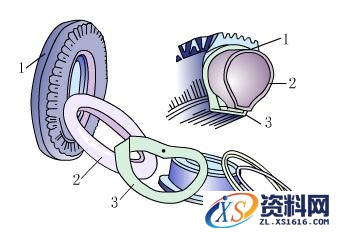 关于汽车轮胎的结构图解析,轮胎结构图解,结构图,第2张