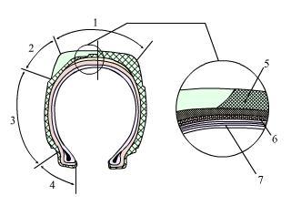 轮胎结构图解（图文教程）,轮胎结构图解,结构图,教程,第1张