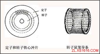 电动机基本知识（图文教程）,电动机基本知识,旋转,第3张