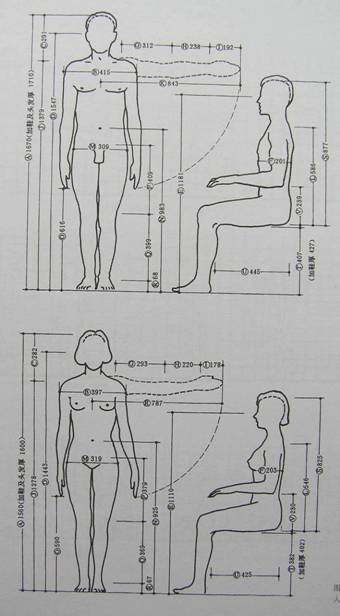 人体工程学基础-3、人体测量与人体尺寸(图文教程),P4200040,尺寸,第4张