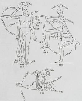 人体工程学基础-3、人体测量与人体尺寸(图文教程),P4240004,尺寸,第2张