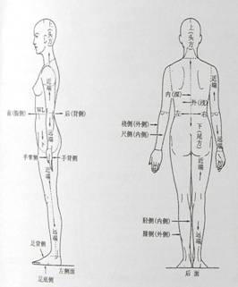 人体工程学基础-3、人体测量与人体尺寸(图文教程),P4240004,尺寸,第3张