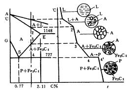 机械制造工程_2.4铁碳合金及其平衡状态图(图文教程),机械制造工程_2.4铁碳合金及其平衡状态图,第13张