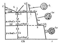 机械制造工程_2.4铁碳合金及其平衡状态图(图文教程),机械制造工程_2.4铁碳合金及其平衡状态图,第15张