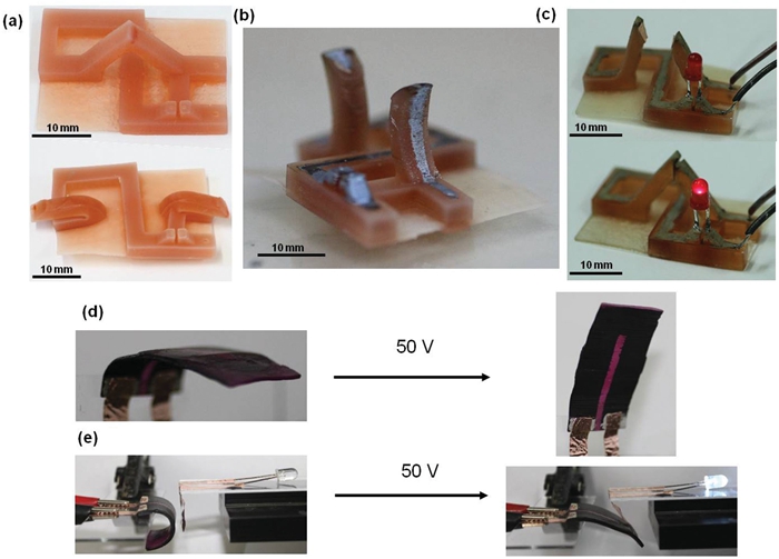 科学家首次用SLA 3D打印技术实现4D打印（图文教程）,科学家首次用SLA_3D打印技术实现4D打印,打印,教程,第3张