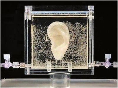 3D打印重现梵高左耳（图文教程）,3D打印重现梵高左耳,打印,第1张