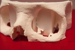 医生用3D打印机制造器官和骨骼（图文教程）,医生使用3D打印机创建复制人体器官,打印机,第3张