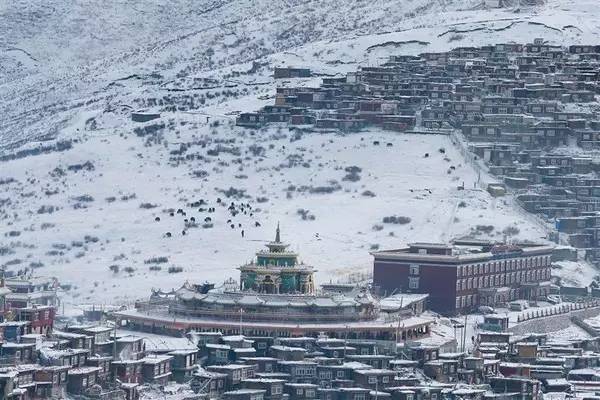 色达刚下了一场雪，这些照片惊艳了大家的朋友圈(图文教程),1478748646702828.jpg,这个,温度,什么,第10张