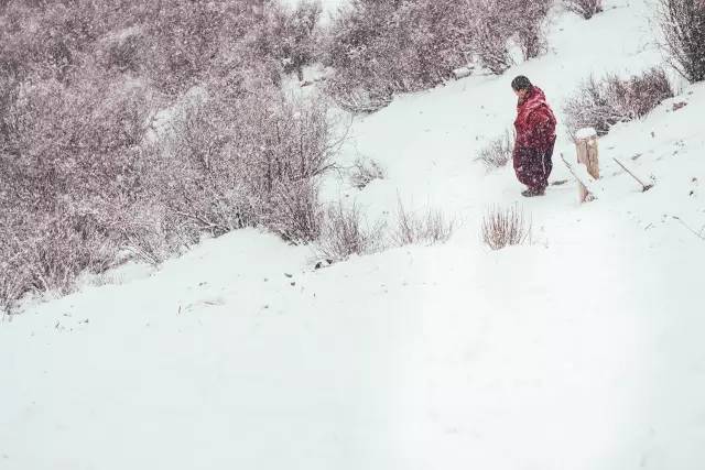 色达刚下了一场雪，这些照片惊艳了大家的朋友圈(图文教程),1478748894994794.jpg,这个,温度,什么,第19张